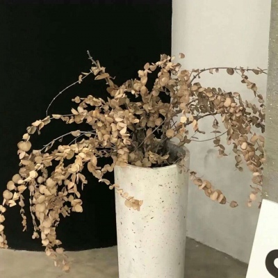 朝阳FurryQQ群介绍